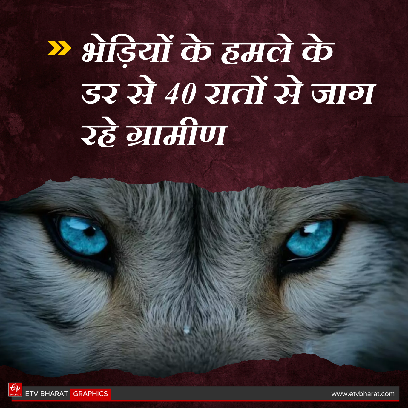 ETV Bharat GFX