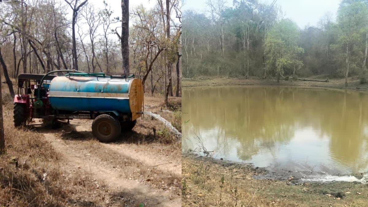 TANKER WATER FOR WILD ANIMALS