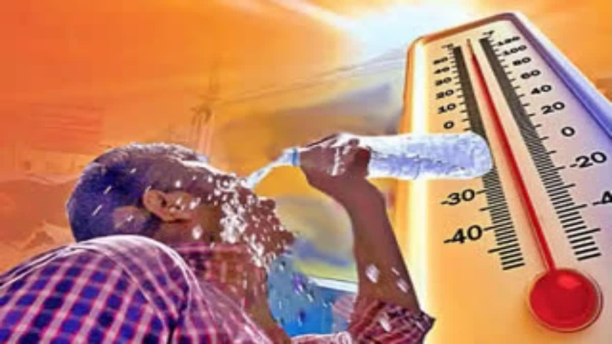 KERALA WEATHER UPDATES  HEATWAVE ALERT IN KERALA  നാല് ജില്ലകളിൽ യെല്ലോ അലർട്ട്  കേരളത്തിൽ ഉഷ്‌ണ തരംഗ സാധ്യത