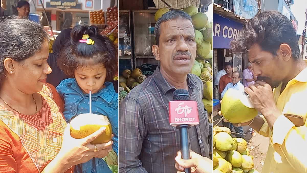 TENDER COCONUT  TENDER COCONUT KASARAGOD  ഇളനീർ വില കൂടുന്നു  കാസർകോട് ഇളനീർ കച്ചവടം