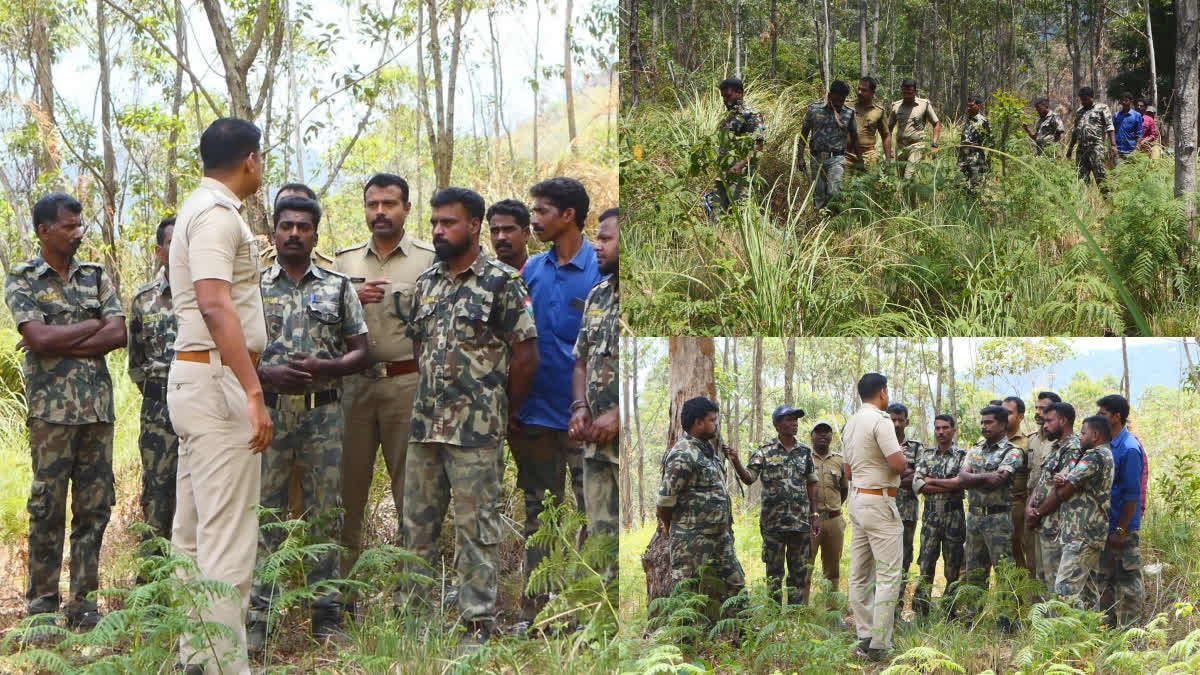 13 NEW RRT TEAMS IN KERALA  HUMAN WILDLIFE CONFLICT  WILD ANIMAL ATTACK IN KERALA  വന്യജീവി ആക്രമണം