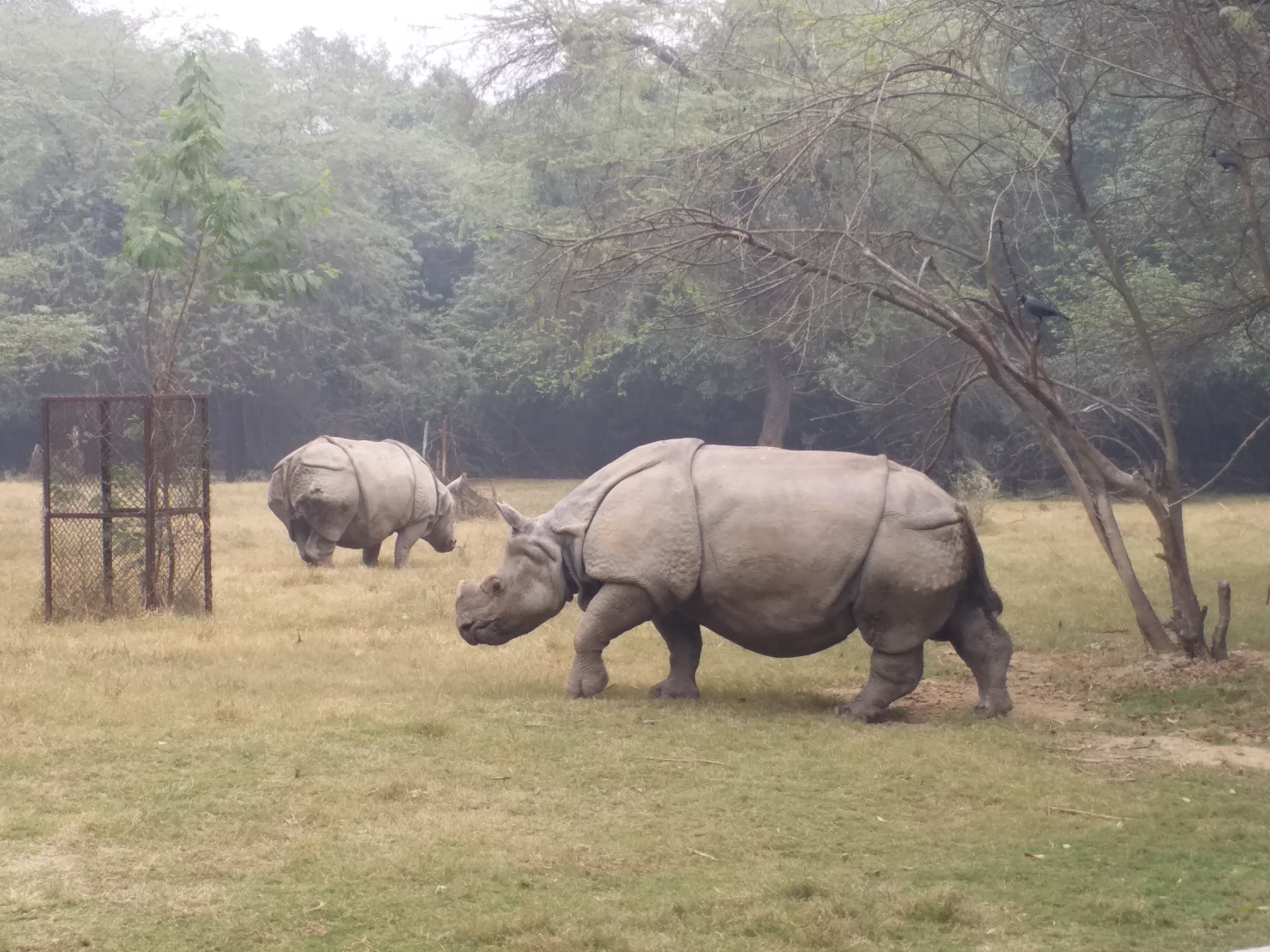 delhi-zoo