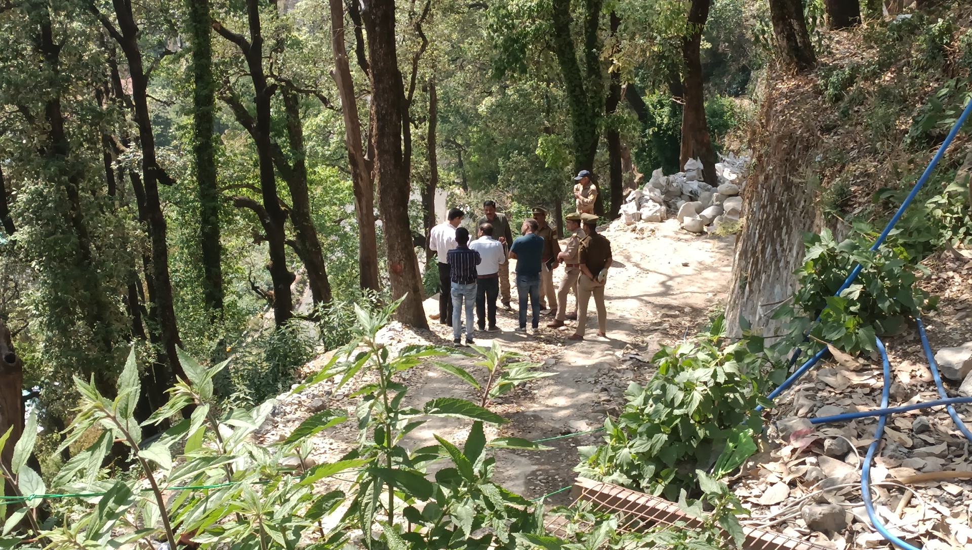 MUSSOORIE TREE CUTTING