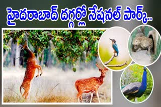 National Park in Hyderabad