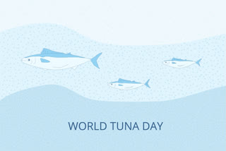 World Tuna Day 2024