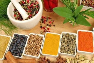 Spice testing in Uttarakhand