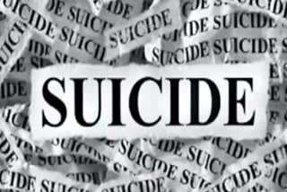 TROUBLED BY HUSBAND WOMAN COMMIT SUICIDE IN INDORE