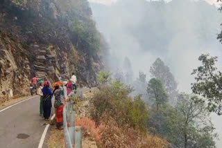 PAURI FOREST FIRE