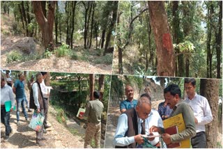 MUSSOORIE TREE CUTTING