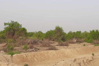 KEOLADEO NATIONAL PARK BHARATPUR