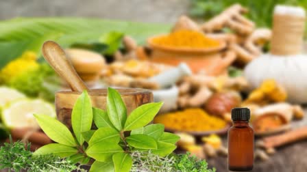 Naturopathy News