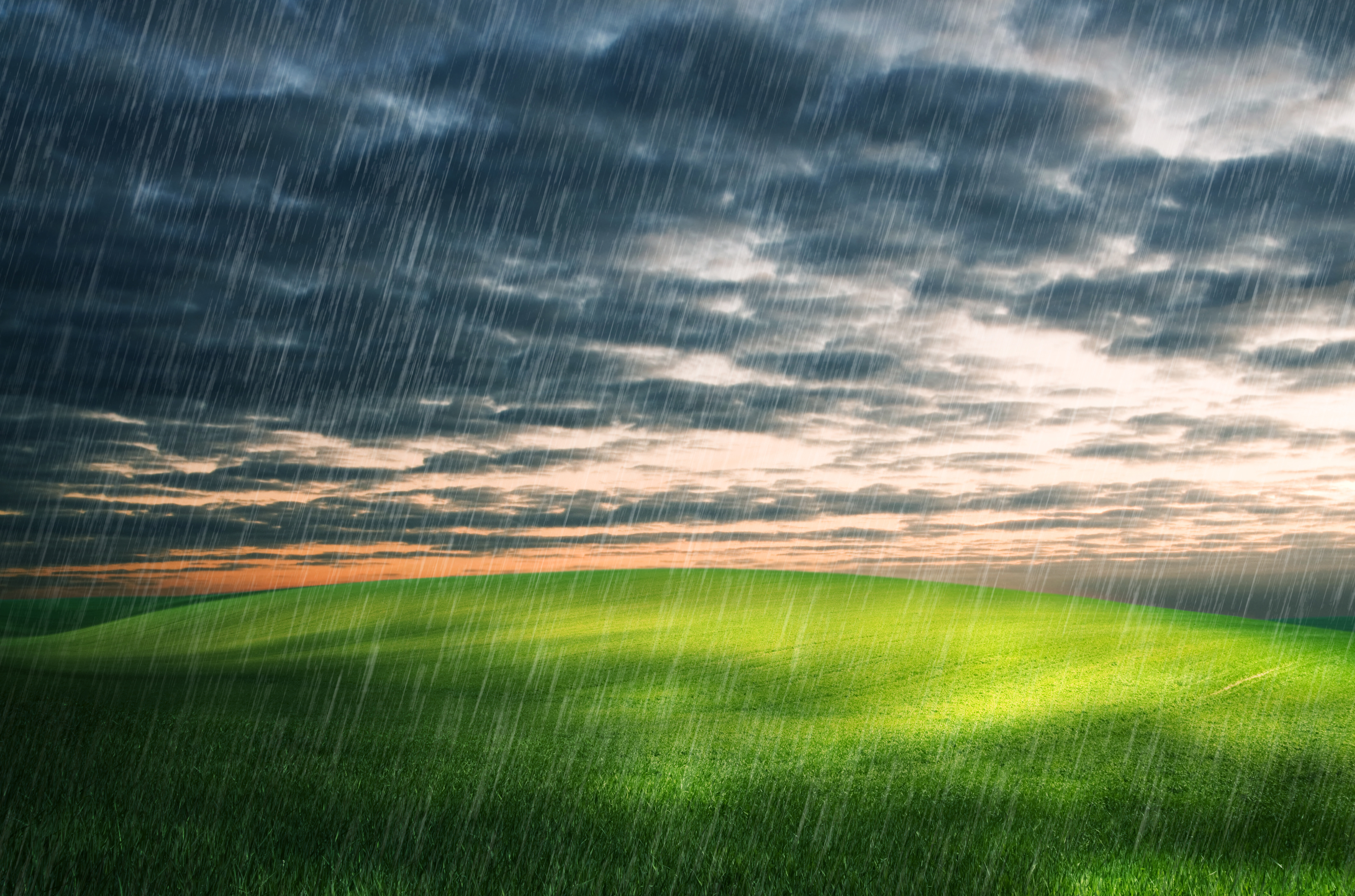 RAIN ALERT IN 39 DISTRICTS OF MP