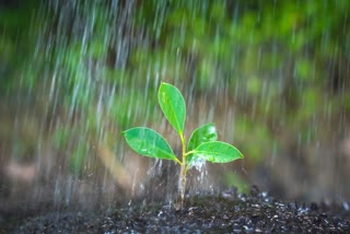 MP RAIN ALERT