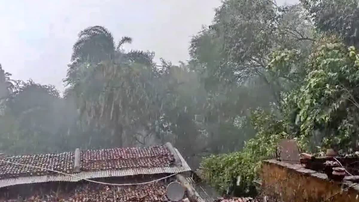 RAIN IN NUAPADA