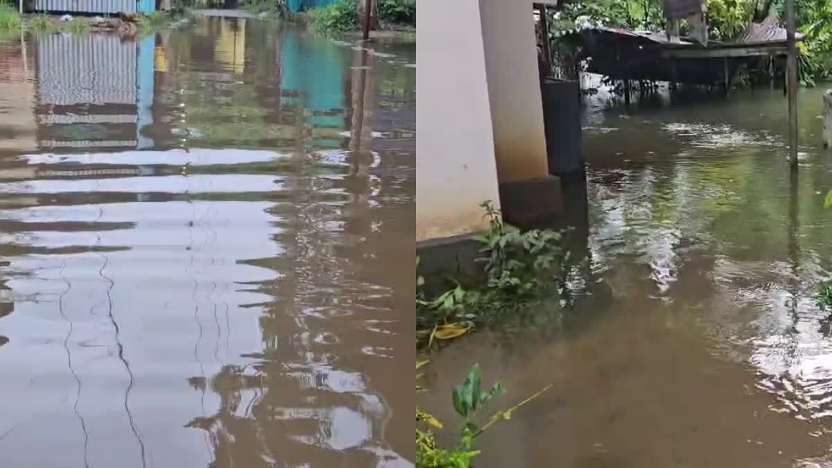 HEAVY RAINFALL IN KERALA  HOUSES FLOODED IN KOTTAYAM  താഴ്‌ന്ന പ്രദേശങ്ങളിൽ വെളളക്കെട്ട്  കോട്ടയത്ത് വെളളക്കെട്ട്