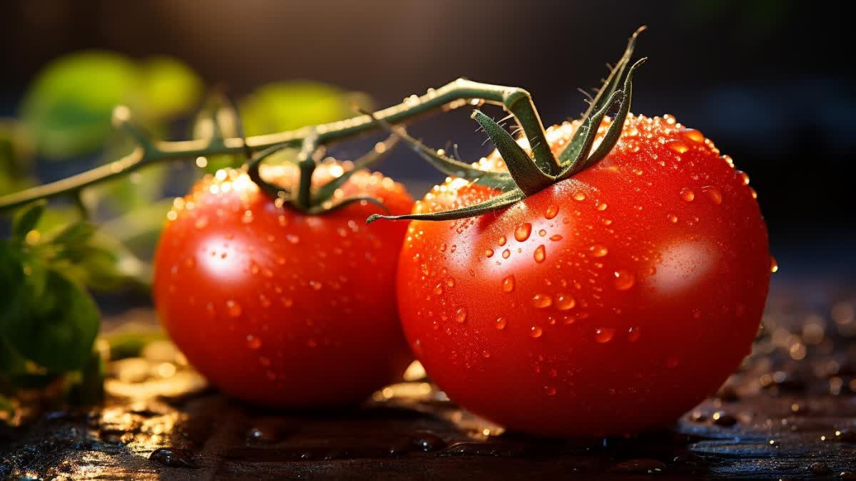 Are Tomatoes Healthy or Bad for You?