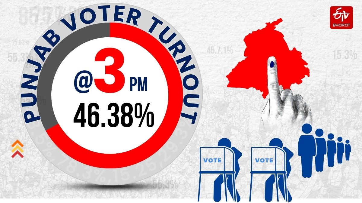 Punjab Vote Percentage