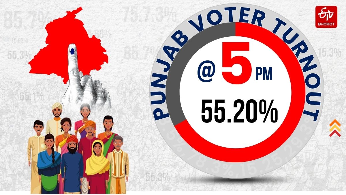 Punjab Vote Percentage