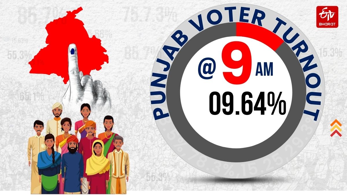 Punjab Vote Percentage