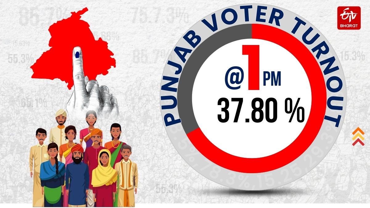 Punjab Vote Percentage