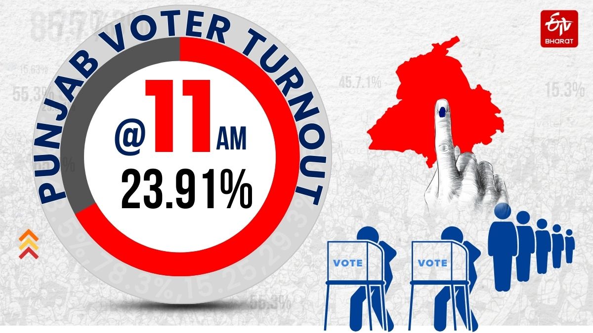 Punjab Vote Percentage