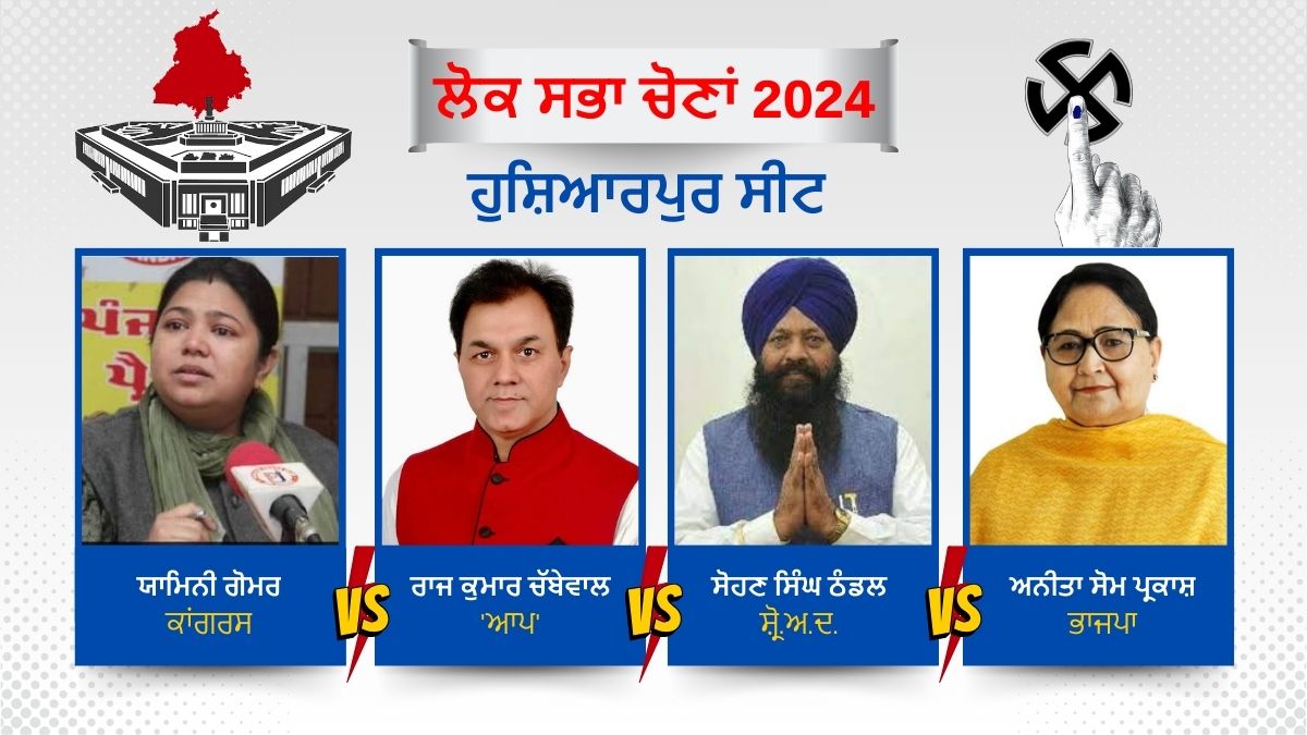 punjab 13 lok sabha seats exit poll etv bharat