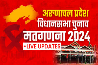ASSEMBLY ELECTION RESULTS 2024 LIVE