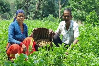 Traditional Farming in Rudraprayag