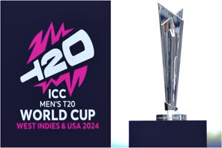 T20 World Cup Google Doodle