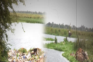 Polluting in Nellore Penna River