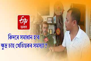 বটলিফ ফেক্টৰীয়ে কিয় নলয় ক্ষুদ্ৰ চাহ খেতিয়কৰ কেঁচা চাহপাত ?