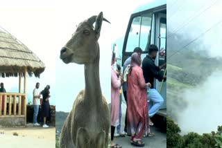 ഇരവികുളം  ലക്കം വെള്ളച്ചാട്ടം  മൂന്നാർ  IDUKKI TOURISM