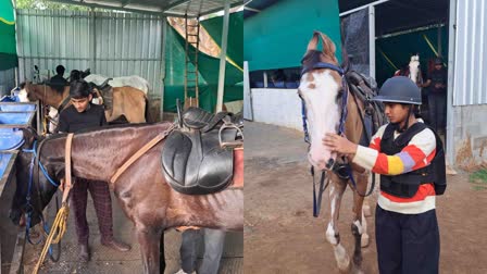 HORSE RIDING SCHOOL  HAVERI HORSE RIDING