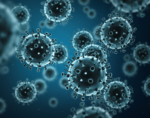 Universal influenza vaccine with the help of new influenza b antibody