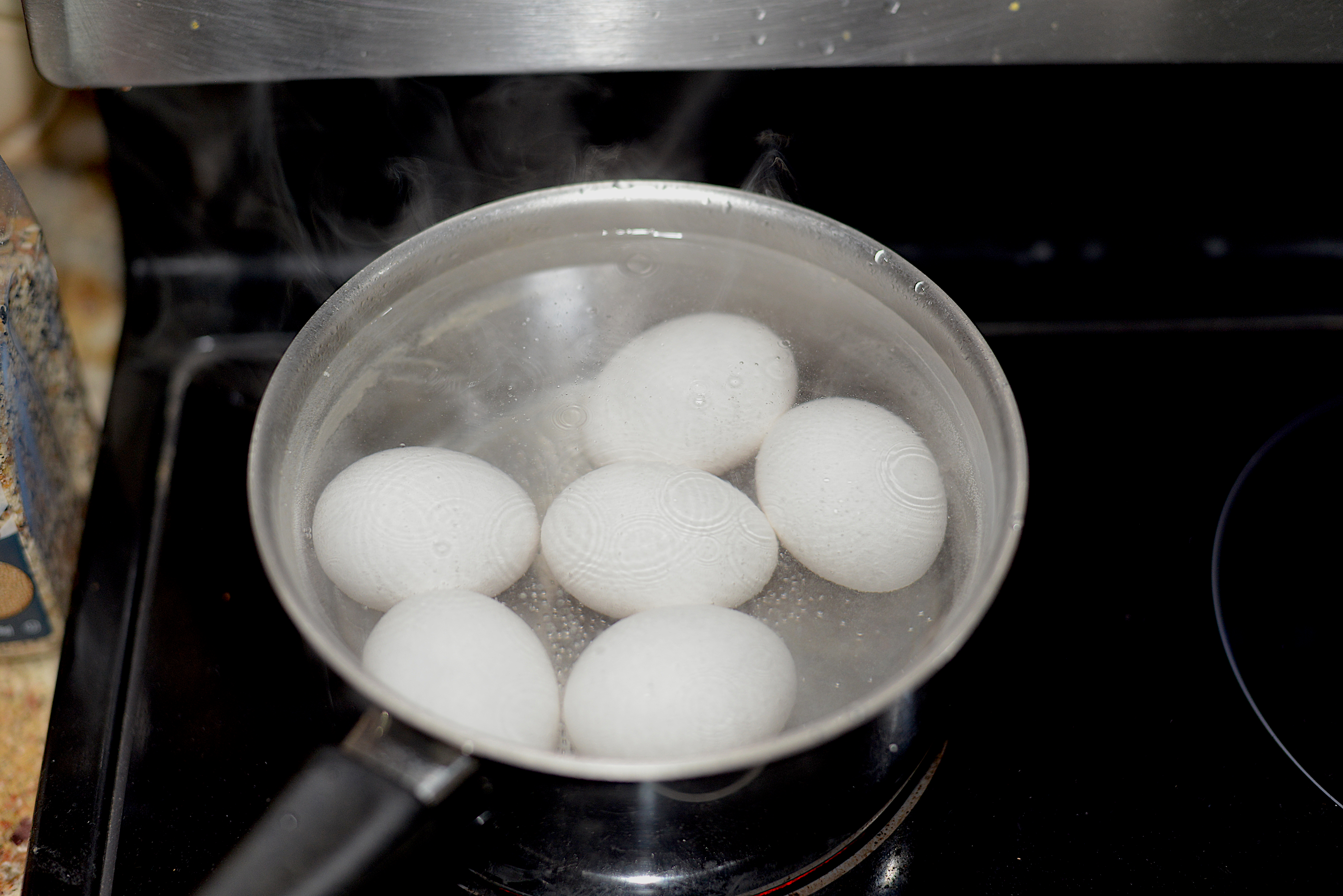 Egg