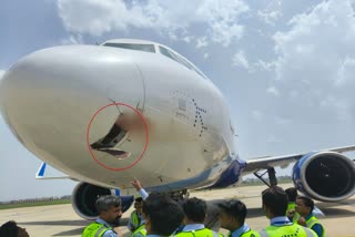 safe landing made after bird hit airplane coming from Patna to Ranchi