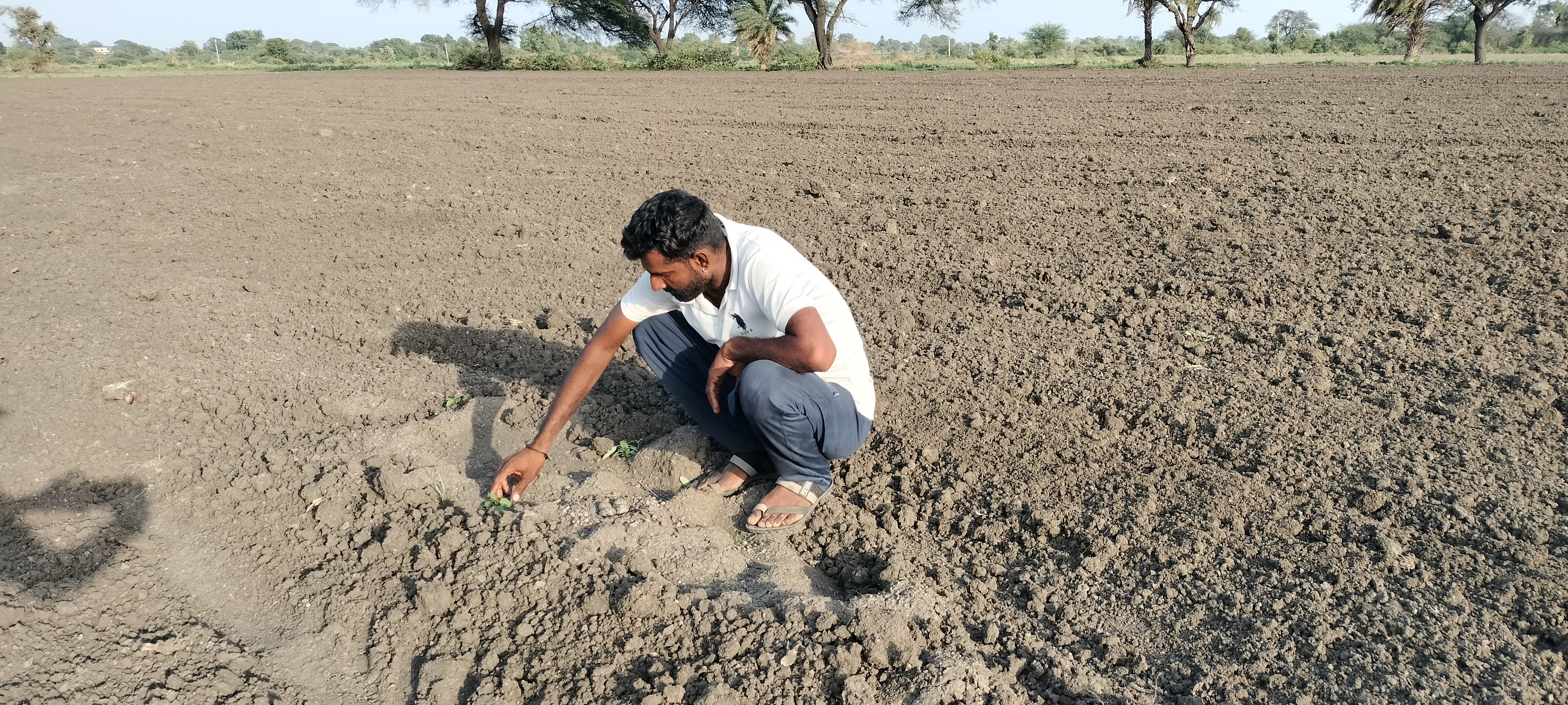 Farmers methods rain PREDICTION