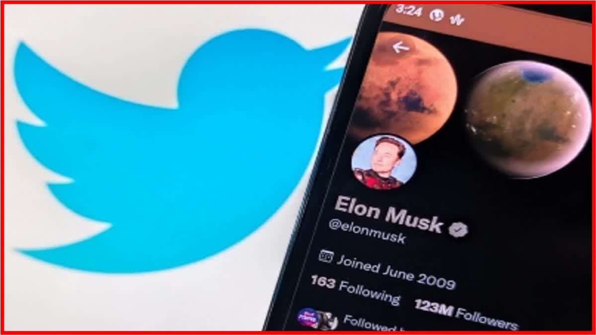 Elon Musk Twitter News