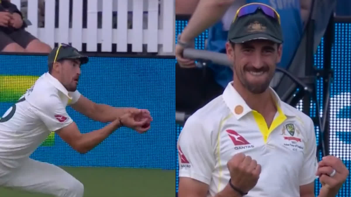 MCC on Mitchell Starc s Grounded Catch Controversy  Mitchell Starc  Mitchell Starc Catch Controversy  Ashes 2023  Ashes  മിച്ചല്‍ സ്റ്റാര്‍ക്ക്  ആഷസ് 2023  ആഷസ്  Marylebone Cricket Club  മിച്ചല്‍ സ്റ്റാര്‍ക്ക് ക്യാച്ച് വിവാദം  മാരിൽബോൺ ക്രിക്കറ്റ് ക്ലബ്  ബെന്‍ ഡക്കറ്റ്  Ben Duckett  ഗ്ലെന്‍ മഗ്രാത്ത്  Glenn McGrath