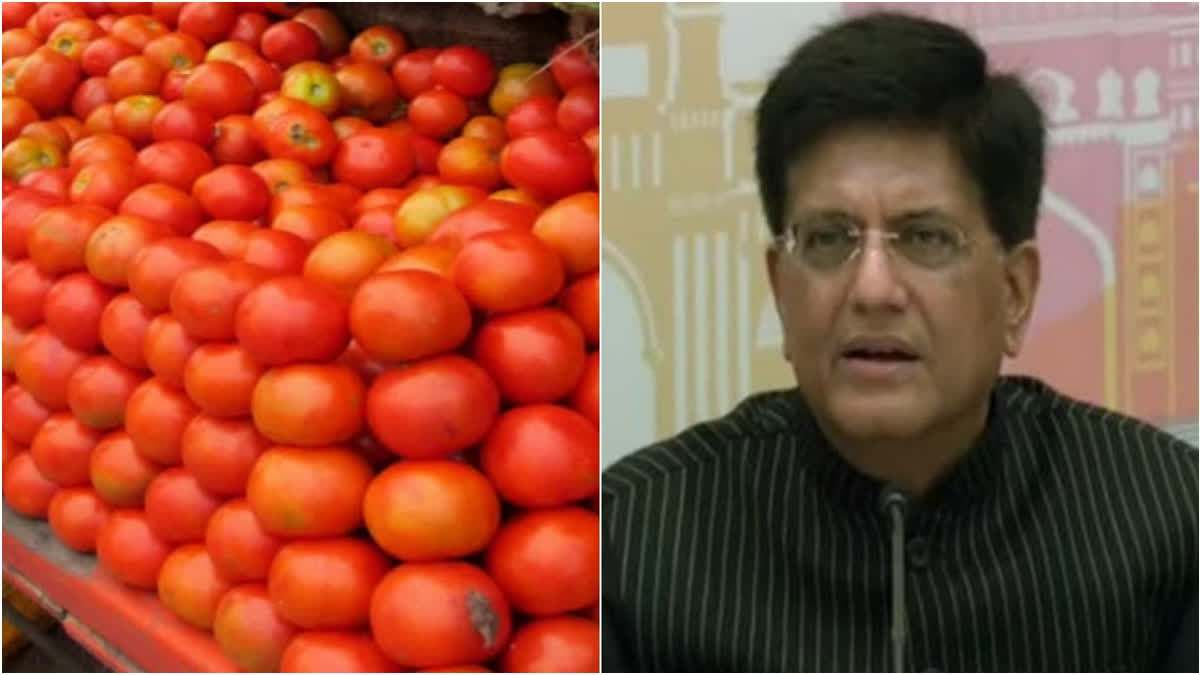 Tomato prices will go down, assures Union Minister Piyush Goyal