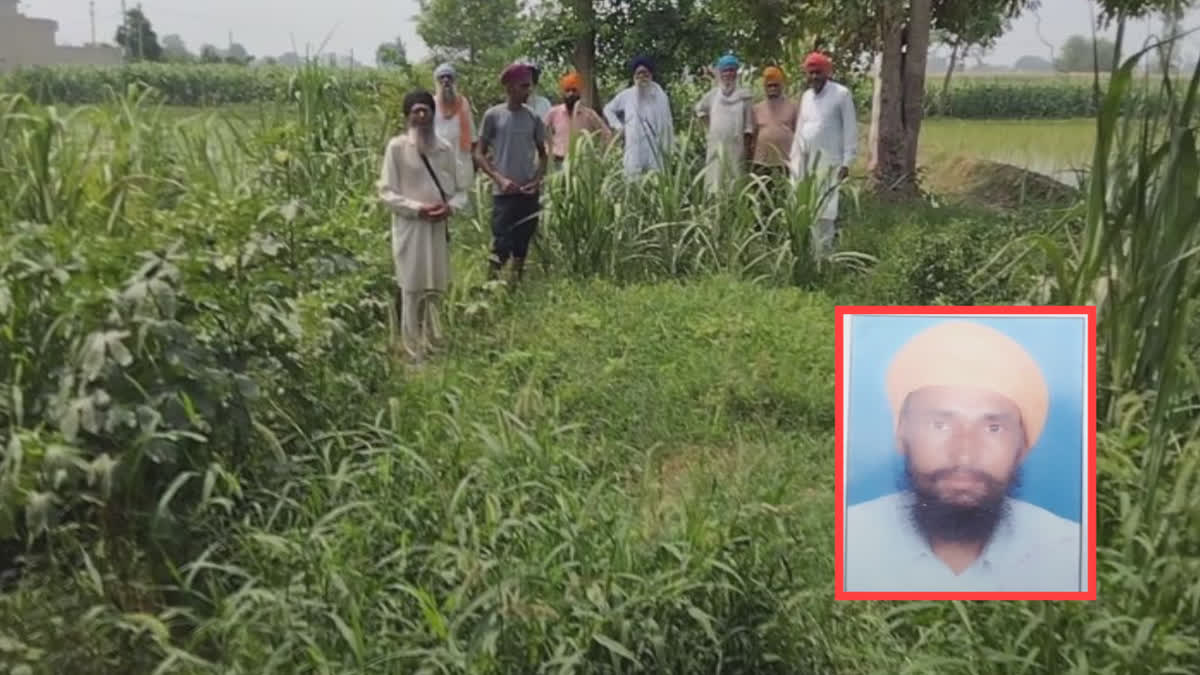 Farmer working in the fields of Tarn Taran dies due to snake fight