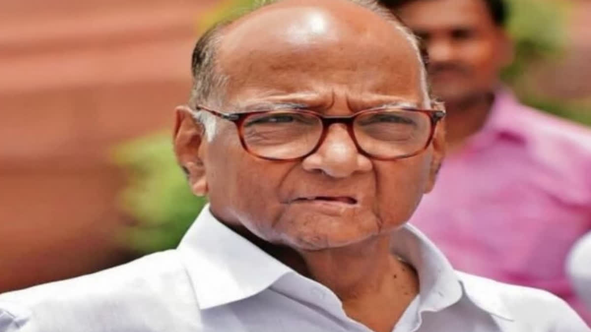 SHARAD PAWAR ON NCP SPLIT MAHARASHTRA POLITICS UPDATES AJIT PAWAR