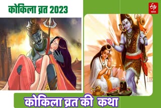 Kokila Vrat 2023 Historical Kokila Vrat Katha