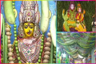 Shakambari Festival Celebrations