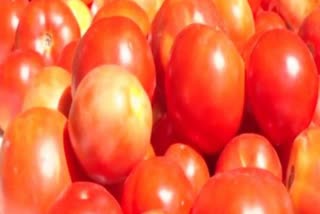 Uttar Pradesh Shopkeeper offers one kg tomatoes free per mobile phone