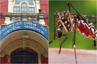 Dengue in Kolkata