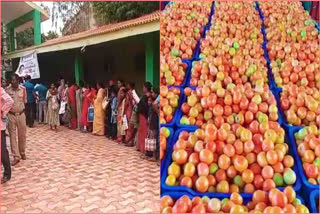 Tomato Prices