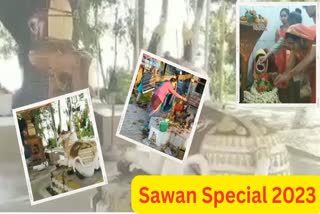 Sawan Special 2023