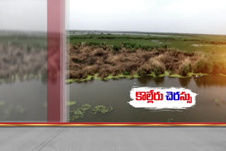 Kolleru pollution