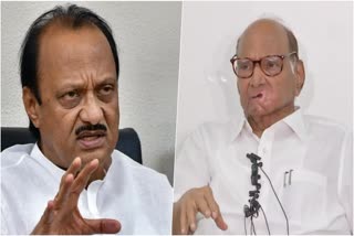 Not worried about what has happened; charges against Ajit proven false: Sharad Pawar